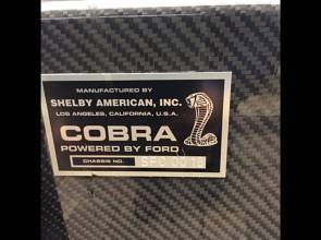 Thumbnail von Shelby Daytona (1965)