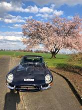 Thumbnail von Jaguar E-Type 4.2 S1