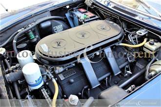 Thumbnail von Ferrari 365 GT 2+2