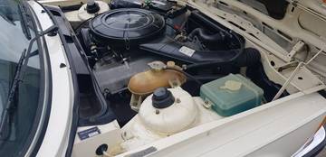 Thumbnail von BMW 320/6 E21