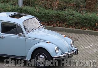 Thumbnail von Volkswagen Brouk (1968)