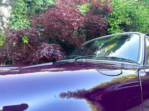 Thumbnail von Porsche 911E Coupé Urmodell