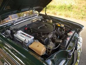 Thumbnail von Mercedes-Benz 250 SE 5.0-V8 Cabriolet