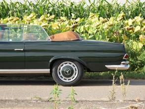 Thumbnail von Mercedes-Benz 250 SE 5.0-V8 Cabriolet