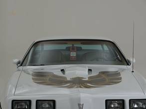 Thumbnail von Pontiac Firebird II Trans AM '81