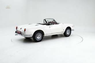 Thumbnail von Alfa Romeo 1600 Giulia Spider '65