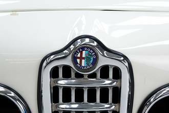 Thumbnail von Alfa Romeo 1600 Giulia Spider '65