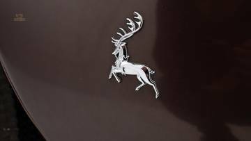 Thumbnail von Auburn 852 Convertible Coupe '36