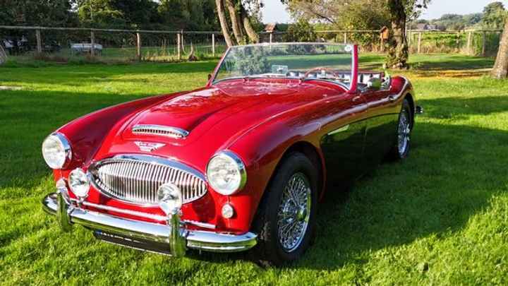 Austin Healey Andere