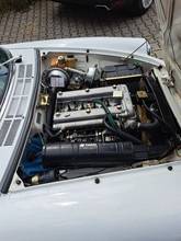 Thumbnail von Alfa Romeo Spider 1750 Duetto - Nieuwe techniek - H-Kz.