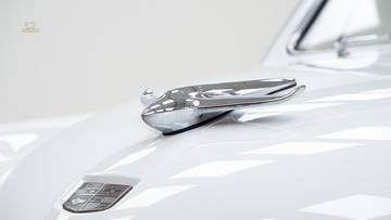 Thumbnail von Studebaker Champion Bullet Nose '51