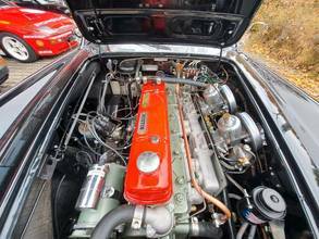 Thumbnail von Austin Healey A H 100/6 BN4 2+2 -¡restauración completa!