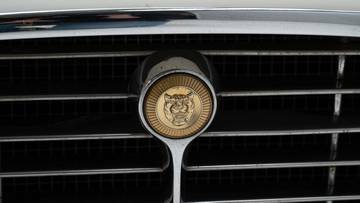 Thumbnail von Jaguar E-Type Series 3 V12 '74