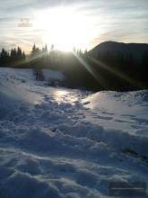 Thumbnail von immobilien-lindstedt.de / INVESTOREN HERGEHÖRT! WERTVOLLES AREAL MIT ÄUßERST VIEL POTENZIAL!