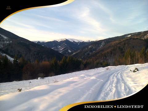 immobilien-lindstedt.de / INVESTOREN HERGEHÖRT! WERTVOLLES AREAL MIT ÄUßERST VIEL POTENZIAL!