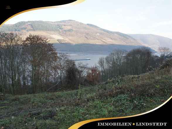 immobilien-lindstedt.de / RHEINBLICK GESUCHT? BAUPLATZ GESUCHT? BITTESCHÖN!