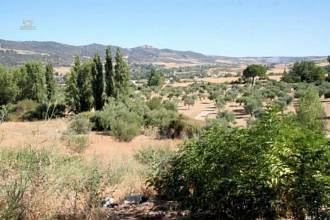 Thumbnail von Luxus-Villa in Ronda R2354576