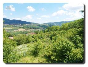 Thumbnail von Einzugbereites Landhaus