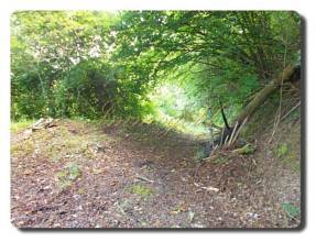 Thumbnail von Einzugbereites Landhaus