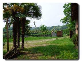 Thumbnail von Immogold L-förmiges piemontesisches Bauernhaus