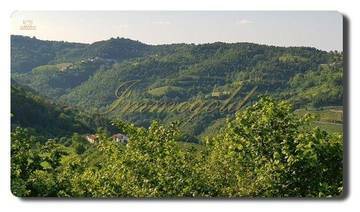 Thumbnail von Immogold, gepflegtes Landhaus in schöner Lage, nahe den Weinbergen und Alba
