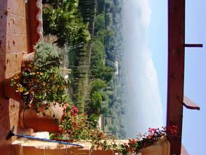 Thumbnail von Finca SonJorge