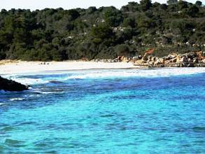 Thumbnail von Finca SonJorge