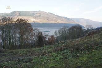 Thumbnail von immobilien-lindstedt.de / RHEINBLICK GESUCHT? BAUPLATZ GESUCHT? BITTESCHÖN!