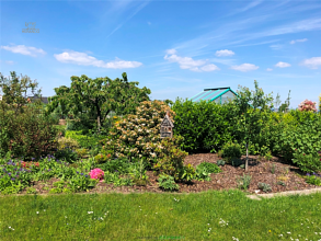 Thumbnail von Gediegener Adlerhorst im Dresdner Südwesten