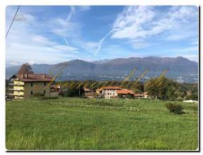 Thumbnail von Immogold, großes Freizeitgrundstück mit Gartenlaube