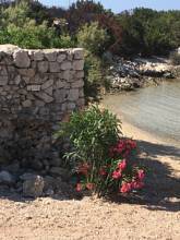 Thumbnail von Properties directly on the sea. Holiday bungalows. Stone house villas. Boutique hotels.