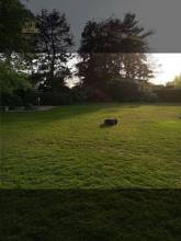 Thumbnail von Großzügige, ortsprägende Villa mit zehn Zimmern