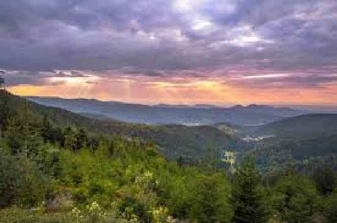 Renditeobjekt Hotel im Schwarzwald