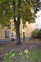 Thumbnail von Große Altbauwohnung mit 2 Balkonen