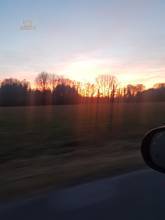 Thumbnail von Seeblick - Ferienhaus / Tiny house