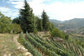 Thumbnail von Charmante Villa auf eigenem Hügel