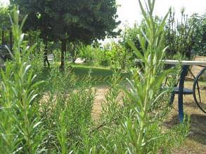 Thumbnail von Charmantes Landhaus in schöner Panoramalage.