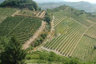 Thumbnail von 4つの個別に装備されたゲストルームを備えた高級レストランヴィラ。