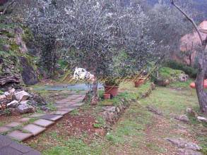 Thumbnail von Komplett neu renoviertes Natursteinhaus in absoluter Spitzen-Panoramalage.
