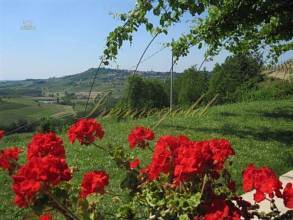 Thumbnail von Hübsches, sofort bewohnbares Landhaus in den Weinbergen
