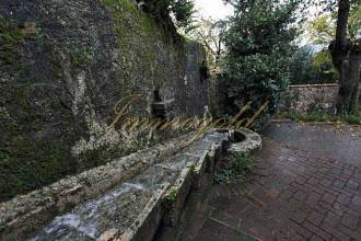 Thumbnail von Traditionelle Ölmühle