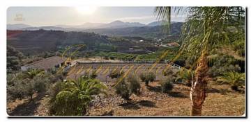 Thumbnail von Licht durchflutete Finca mit Gästehaus, Pool, Pferdestall und Reitplatz