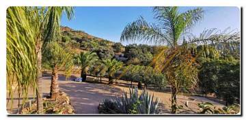 Thumbnail von Licht durchflutete Finca mit Gästehaus, Pool, Pferdestall und Reitplatz