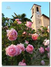 Thumbnail von Landhaus-Villa mit historischen Merkmalen im Herzen des Naturparks von Monte Fenera.