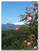 Thumbnail von Landhaus-Villa mit historischen Merkmalen im Herzen des Naturparks von Monte Fenera.