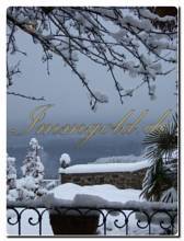 Thumbnail von Landhaus-Villa mit historischen Merkmalen im Herzen des Naturparks von Monte Fenera.