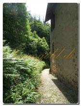 Thumbnail von Landhaus-Villa mit historischen Merkmalen im Herzen des Naturparks von Monte Fenera.