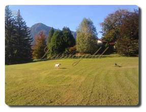 Thumbnail von Immogold IMI 1225 Villa mit Pool und großem Grundstück