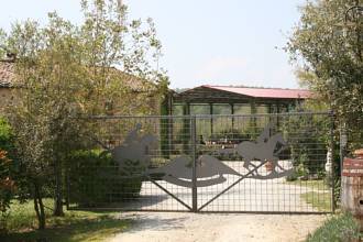 Thumbnail von Reiterhof mit vollrenoviertem Natursteinanwesen im Chianti mit 15 ha Land