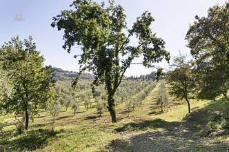 Thumbnail von traumhaftes Anwesen nur 5 Autominuten von Siena entfernt